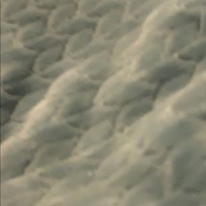 Meet your Posher, Lilliana